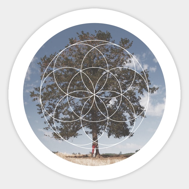 Free Tree Hugs Geometric Photography Sticker by deificusArt